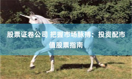 股票证卷公司 把握市场脉搏：投资配市值股票指南