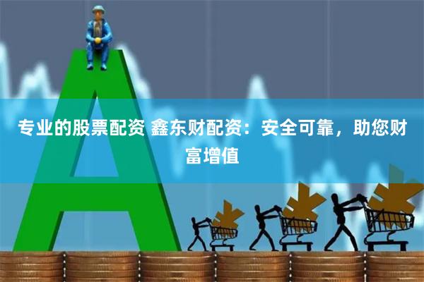 专业的股票配资 鑫东财配资：安全可靠，助您财富增值