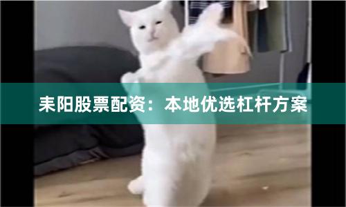 耒阳股票配资：本地优选杠杆方案